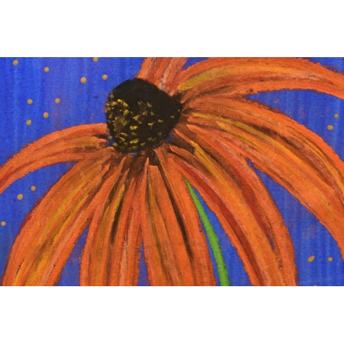 304 - KELLY JANE (BRITISH CONTEMPORARY) ECHINACEA / CONEFLOWER, a study of a single flower, signed bottom ... 