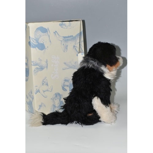 327 - A STEIFF LIMITED EDITION 'AUSTRALIAN SHEPHERD' DOG, with box, tricoloured alpaca 'fur', jointed with... 