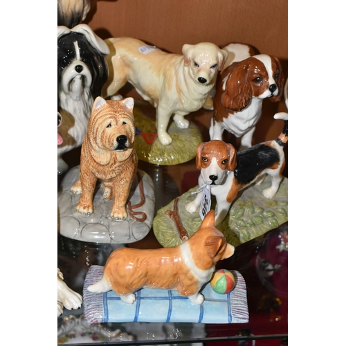 346 - A COLLECTION OF CERAMIC DOG FIGURES, twelve pieces to include a Royal Doulton English Setter RDA105,... 