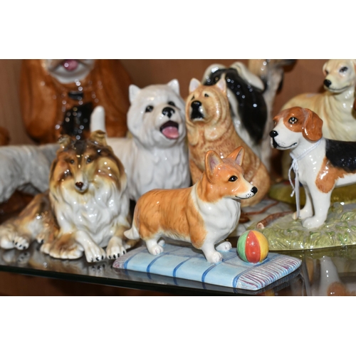 346 - A COLLECTION OF CERAMIC DOG FIGURES, twelve pieces to include a Royal Doulton English Setter RDA105,... 