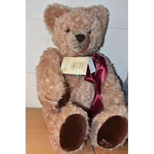 373 - TWO TEDDY BEARS, comprising a Gund 'Blue Thunder' teddy bear no 2254, with blue grey 'fur' and attac... 