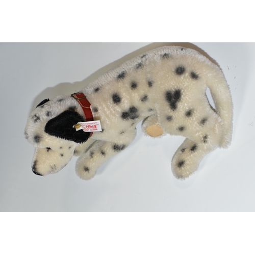 404 - AN UNBOXED MODERN STEIFF LIMITED EDITION MOHAIR DALMATIAN DOG, No.038600, limited edition No.0630 of... 