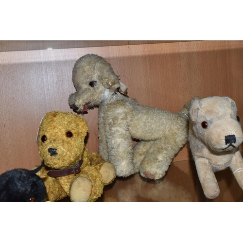 422 - A QUANTITY OF ASSORTED MID 20TH CENTURY SOFT TOY DOGS AND A CAT, one of the dogs has a Norah Welling... 