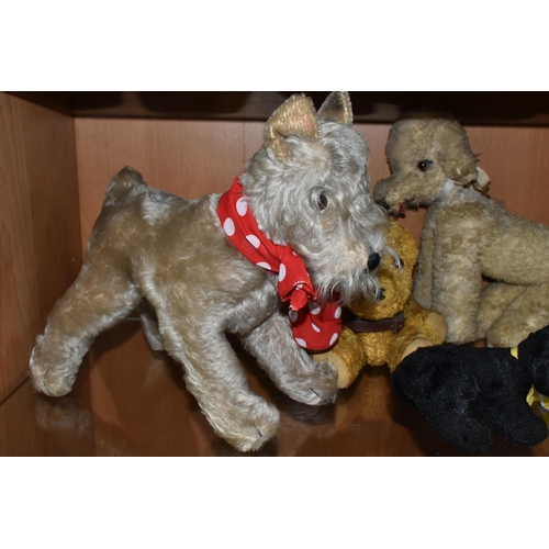 422 - A QUANTITY OF ASSORTED MID 20TH CENTURY SOFT TOY DOGS AND A CAT, one of the dogs has a Norah Welling... 