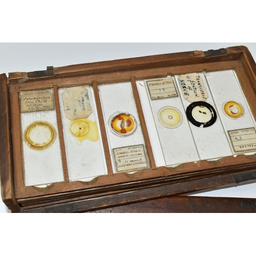 425 - A COLLECTION OF VICTORIAN AND EARLY 20TH CENTURY MICROSCOPE SLIDES IN A FITTED WOODEN BOX, the slide... 