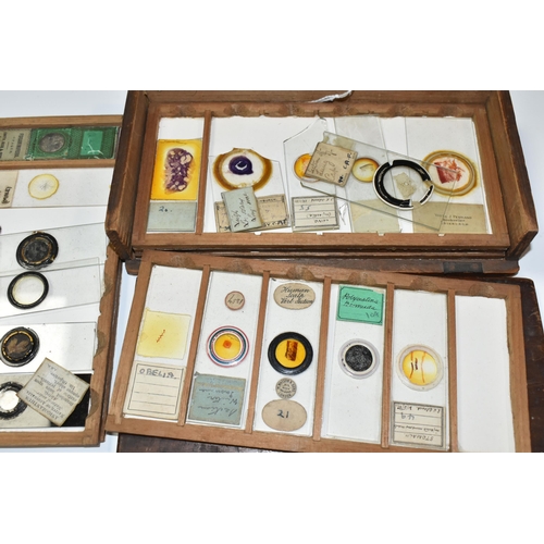 425 - A COLLECTION OF VICTORIAN AND EARLY 20TH CENTURY MICROSCOPE SLIDES IN A FITTED WOODEN BOX, the slide... 