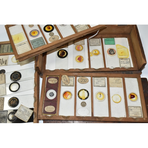 425 - A COLLECTION OF VICTORIAN AND EARLY 20TH CENTURY MICROSCOPE SLIDES IN A FITTED WOODEN BOX, the slide... 