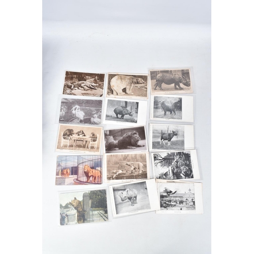 416 - A LARGE COLLECTION OF POSTCARDS, APPROXIMATELY 850, to include Kenwood, Kew Gardens, Kings College, ... 