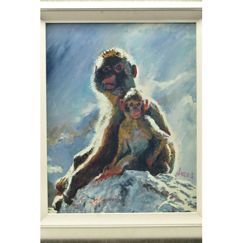 306 - ROLF HARRIS (AUSTRALIA 1930-2023) 'BACKLIT BABOONS - GIBRALTAR', a signed limited edition print on b... 