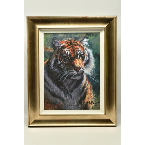 308 - ROLF HARRIS (AUSTRALIA 1930-2023) 'TIGER IN THE SUN', a signed limited edition print on canvas board... 