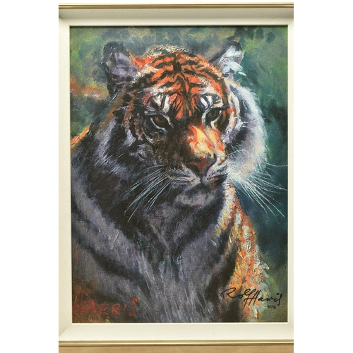 308 - ROLF HARRIS (AUSTRALIA 1930-2023) 'TIGER IN THE SUN', a signed limited edition print on canvas board... 