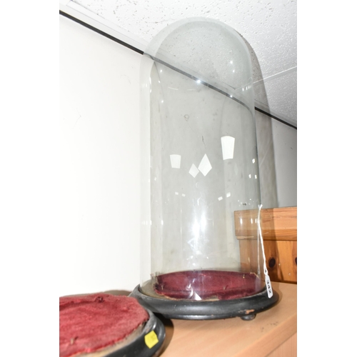 342 - A VICTORIAN GLASS DOME AND TWO WOODEN BASES, comprising glass dome, height approximately 47cm not in... 