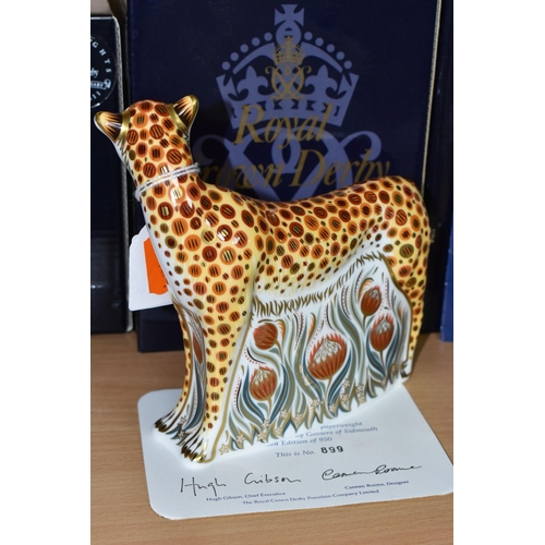 364 - A BOXED ROYAL CROWN DERBY LIMITED EDITION 'CHEETAH' PAPERWEIGHT, for Goviers of Sidmouth, with certi... 