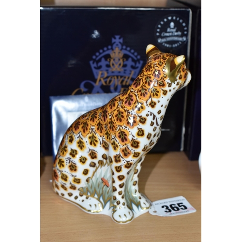 365 - A BOXED ROYAL CROWN DERBY 'LEOPARDESS' PAPERWEIGHT, with gold stopper, red printed backstamp and dat... 