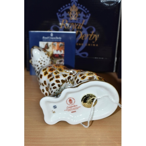 365 - A BOXED ROYAL CROWN DERBY 'LEOPARDESS' PAPERWEIGHT, with gold stopper, red printed backstamp and dat... 