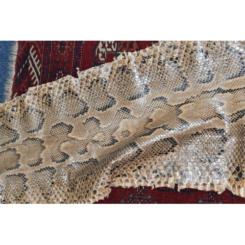 459 - A ROLLED SNAKE SKIN, possibly a python, length approximately 310cm in length and 50cm in width (Cond... 