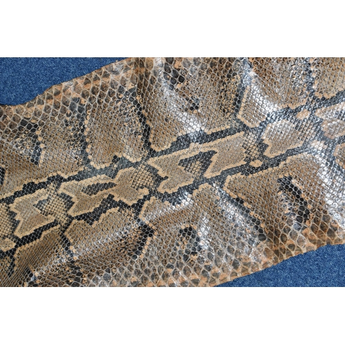 459 - A ROLLED SNAKE SKIN, possibly a python, length approximately 310cm in length and 50cm in width (Cond... 