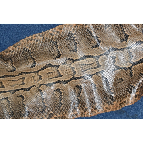 459 - A ROLLED SNAKE SKIN, possibly a python, length approximately 310cm in length and 50cm in width (Cond... 