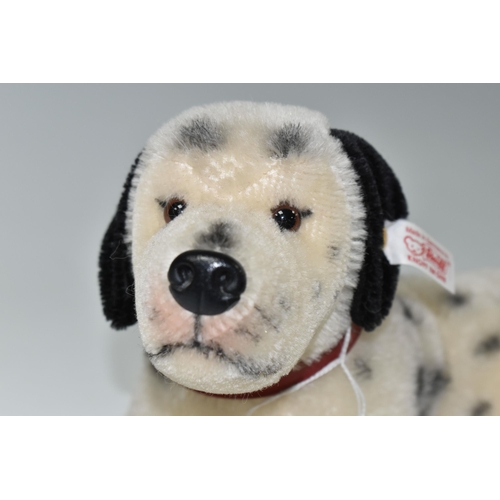 576 - AN UNBOXED MODERN STEIFF LIMITED EDITION MOHAIR DALMATIAN DOG, No.038600, limited edition No.0630 of... 