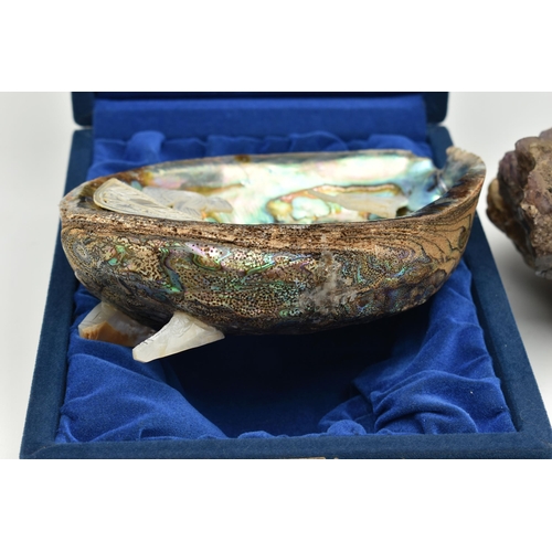 199 - A CARVING AND NATURAL SPECIMENS, a cased abalone shell with a carved mother of pearl nativity scene,... 