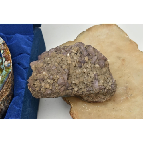 199 - A CARVING AND NATURAL SPECIMENS, a cased abalone shell with a carved mother of pearl nativity scene,... 