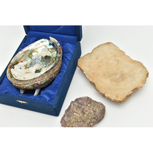 199 - A CARVING AND NATURAL SPECIMENS, a cased abalone shell with a carved mother of pearl nativity scene,... 