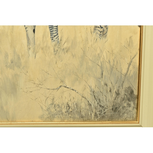 304 - TED HOEFSLOOT (1930-2013) 'ZEBRA AND YELLOW THORN', three Zebra are standing in an African landscape... 