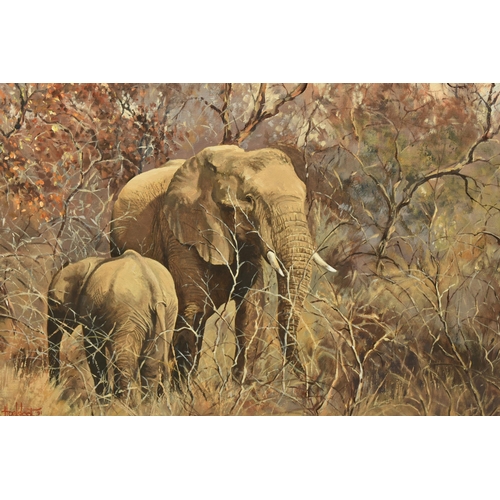 305 - TED HOEFSLOOT (1930-2013) 'MOTHER AND CHILD', an African Elephant and her calf in an African landsca... 