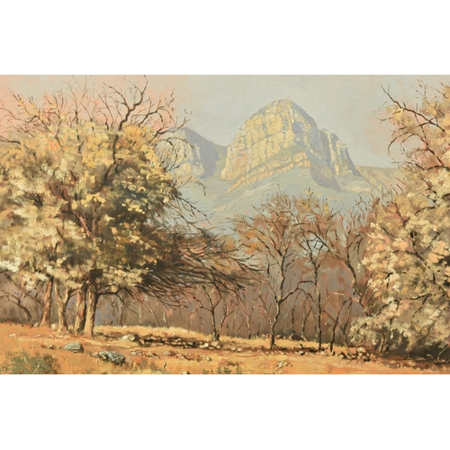 309 - TED HOEFSLOOT (1930-2013) 'LOW VELD SCENE', a South African landscape with distant mountains, signed... 