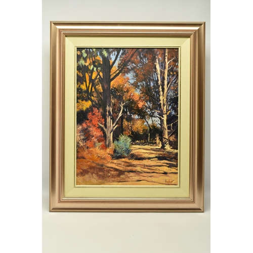 302 - TED HOEFSLOOT (1930-2013) 'AUTUMN ON A MIDLANDS FARM', a South African landscape in the impressionis... 