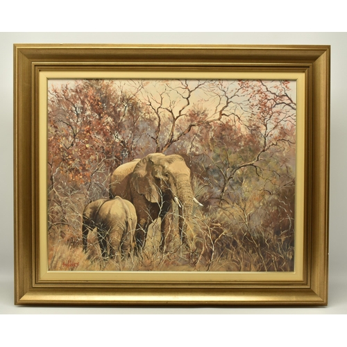 305 - TED HOEFSLOOT (1930-2013) 'MOTHER AND CHILD', an African Elephant and her calf in an African landsca... 