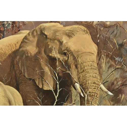 305 - TED HOEFSLOOT (1930-2013) 'MOTHER AND CHILD', an African Elephant and her calf in an African landsca... 