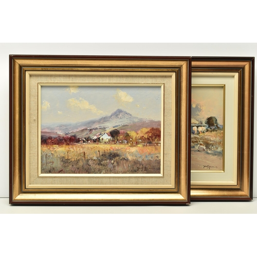 306 - GERRIT ROON (SOUTH AFRICA 1937-2017) TWO SOUTH AFRICAN LANDSCAPES, both depicting whitewashed dwelli... 