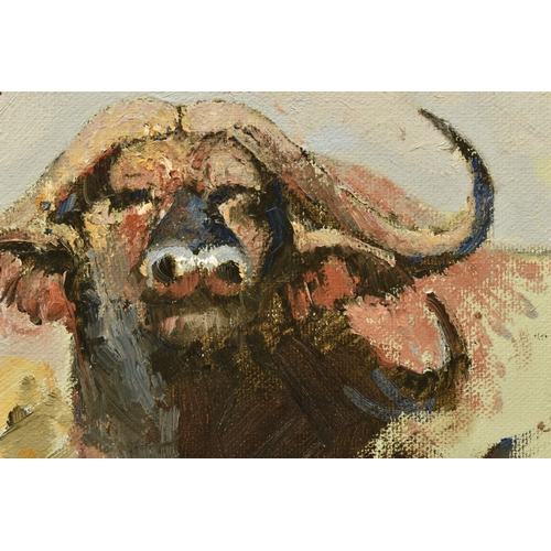 307 - GERRIT ROON (SOUTH AFRICA 1937-2017) TWO STUDIES OF AFRICAN WILDLIFE, comprising a study of an Impal... 