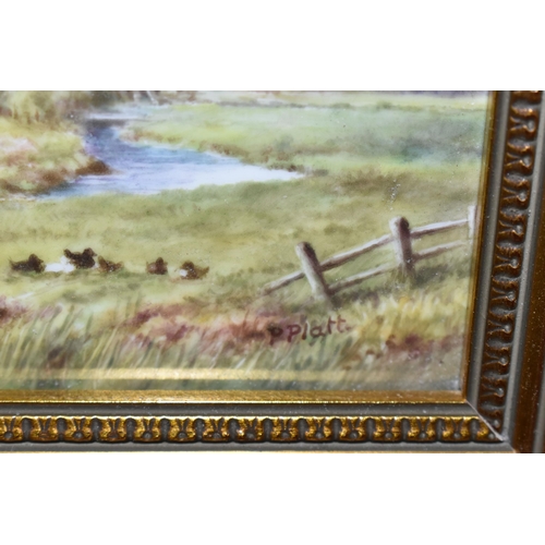 409 - TWO GILT FRAMED ROYAL WORCESTER PORCELAIN PLAQUES, comprising two rectangular porcelain plaques, one... 