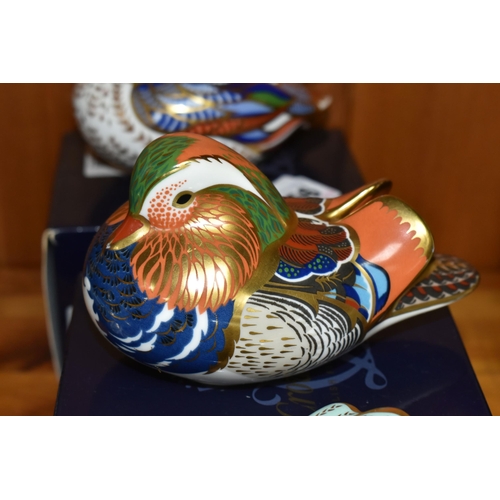 556 - FOUR ROYAL CROWN DERBY PAPERWEIGHTS, comprising boxed Teal with gold stopper, boxed Mandarin Duck wi... 