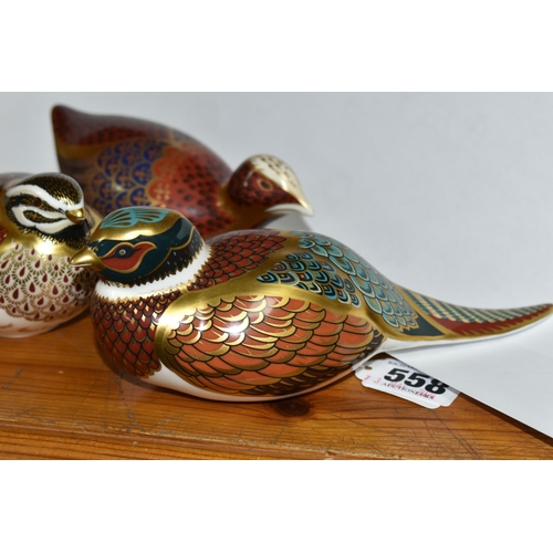 558 - THREE ROYAL CROWN DERBY PAPERWEIGHTS, comprising Woodland Pheasant with gold stopper, Coot with gold... 