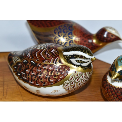 558 - THREE ROYAL CROWN DERBY PAPERWEIGHTS, comprising Woodland Pheasant with gold stopper, Coot with gold... 