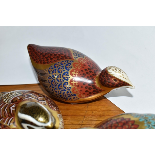 558 - THREE ROYAL CROWN DERBY PAPERWEIGHTS, comprising Woodland Pheasant with gold stopper, Coot with gold... 