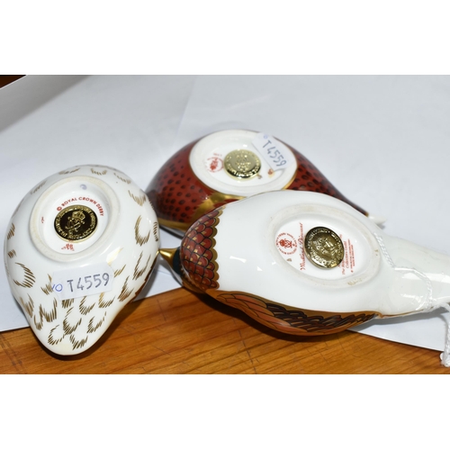 558 - THREE ROYAL CROWN DERBY PAPERWEIGHTS, comprising Woodland Pheasant with gold stopper, Coot with gold... 