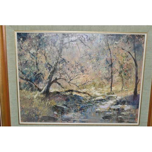 321 - CHRISTOPHER TUGWELL (SOUTH AFRICA 1938-2021) AN IMPRESSIONST STYLE LANDSCAPE, a small stream cuts th... 