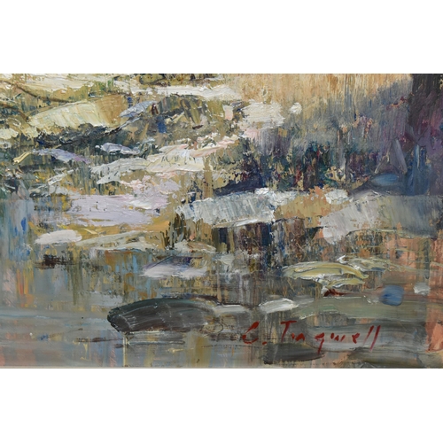 321 - CHRISTOPHER TUGWELL (SOUTH AFRICA 1938-2021) AN IMPRESSIONST STYLE LANDSCAPE, a small stream cuts th... 