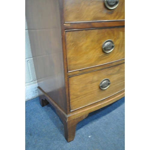 1240 - A GEORGIAN FLAME MAHOGANY BOWFRONT CHEST OF FIVE DRAWERS, with brass handles, on bracket feet, width... 