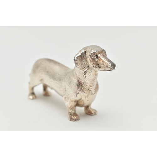 177 - AN ELIZABETH II SILVER DACHSHUND FIGURE, realistically textured, maker Albert Edward Jones, Birmingh... 