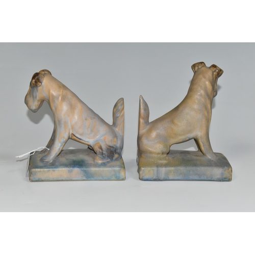 335 - A PAIR OF BOURNE DENBY TERRIER BOOKENDS, 1920s-1930s Danesby Ware, printed marks to base, height of ... 