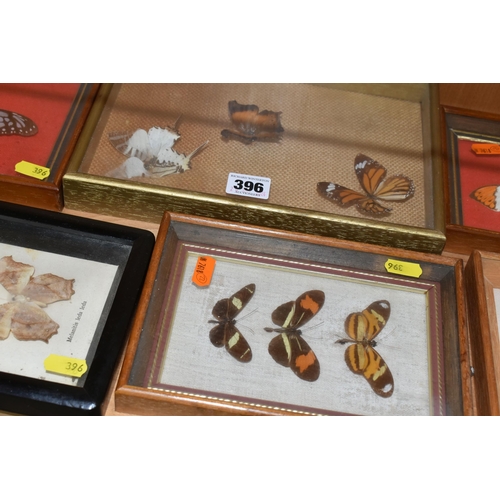 396 - ENTOMOLOGY: five glazed and framed butterfly and moth specimens, largest 27cm x20cm (case and butter... 