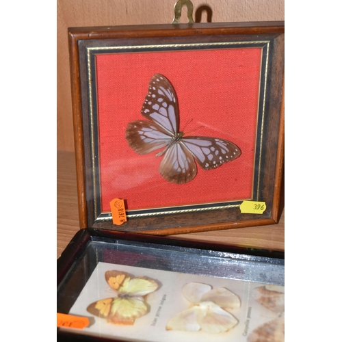 396 - ENTOMOLOGY: five glazed and framed butterfly and moth specimens, largest 27cm x20cm (case and butter... 