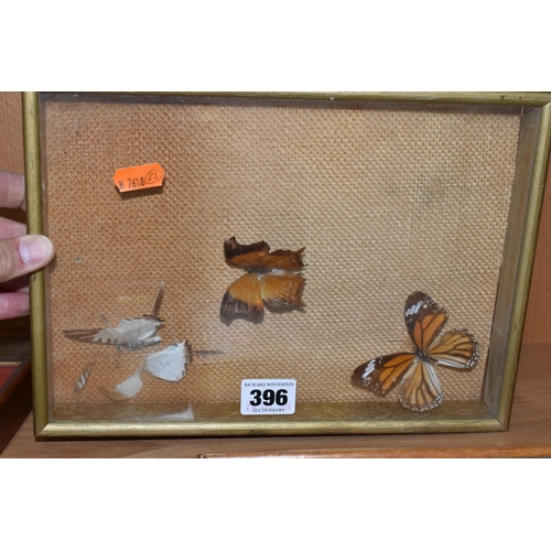 396 - ENTOMOLOGY: five glazed and framed butterfly and moth specimens, largest 27cm x20cm (case and butter... 