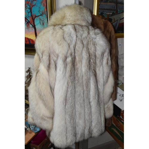 433 - TWO LADIES FUR JACKETS, comprising an Arctic Fox fur made by Dominion Furs- Edinburgh, approximate s... 