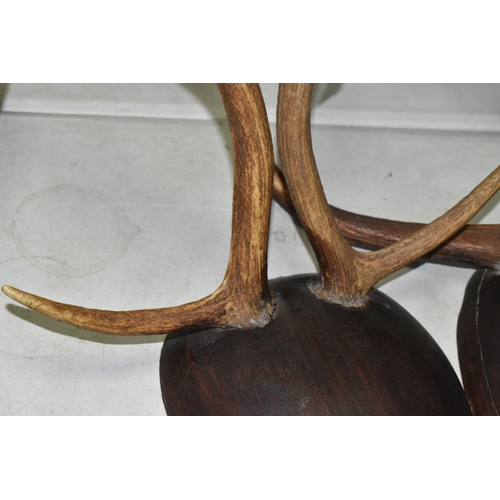 515 - MOUNTED ANTLERS, the two larger antlers with four points each, the smaller ones having three points ... 